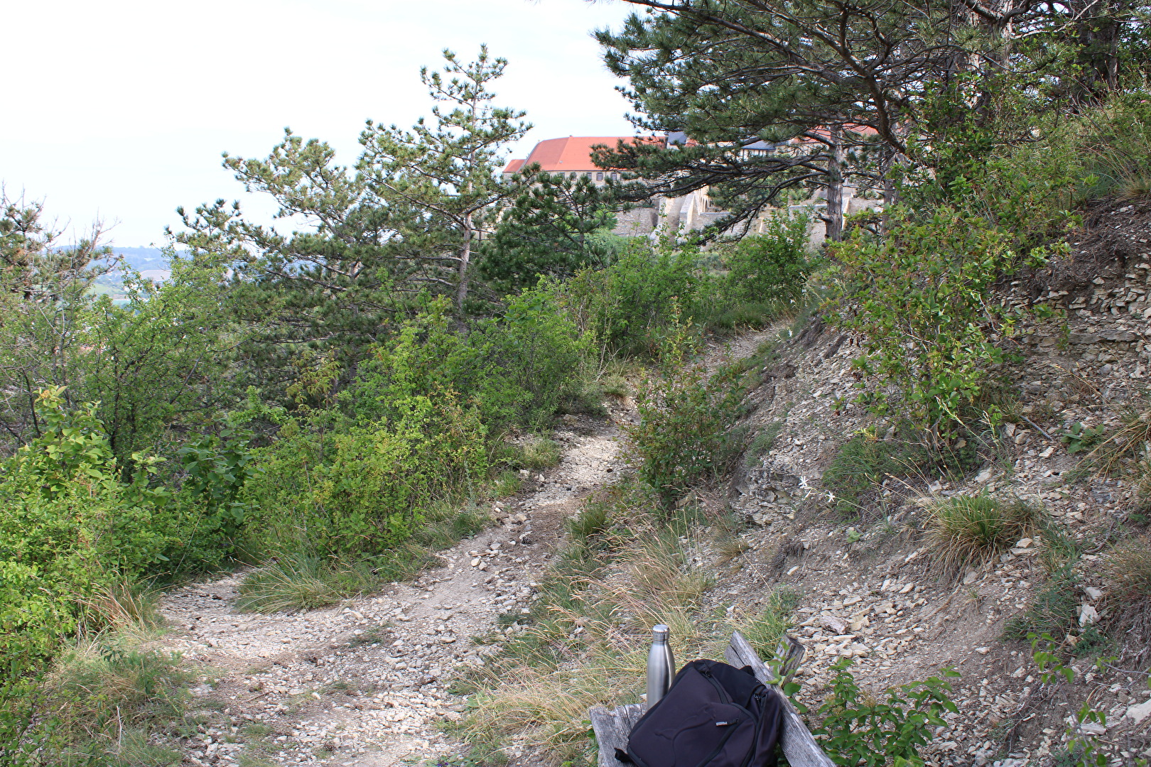 Aufstieg zum Haineberg