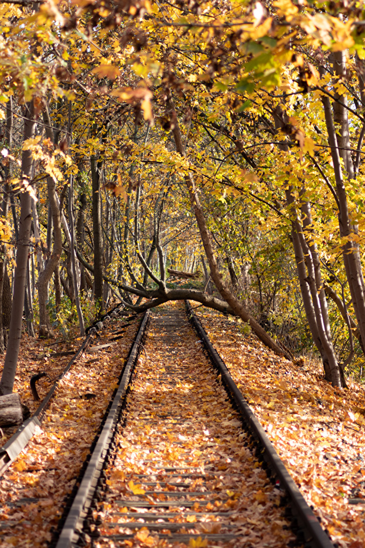 Hier fährt nichts mehr...