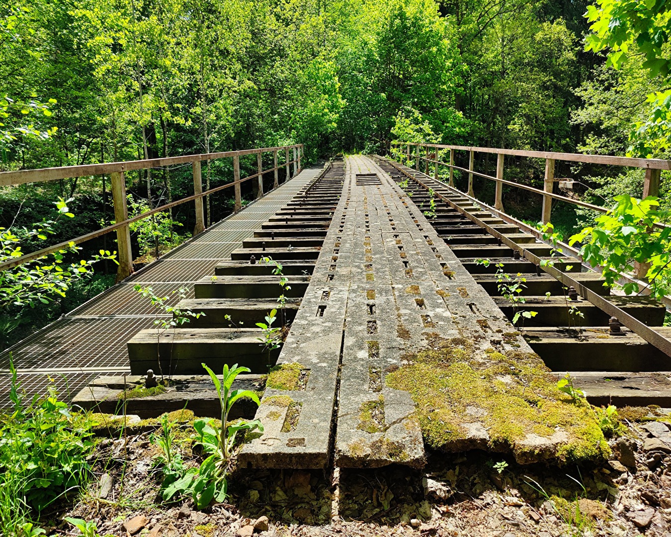 es fuhr ein Zug nach Nirgendwo