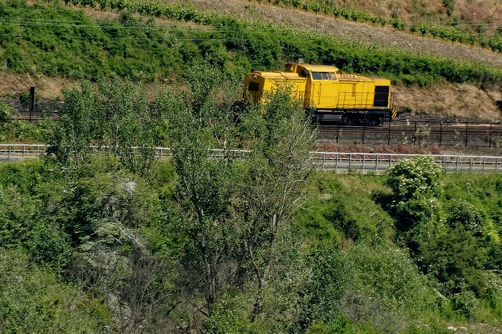 Diesel - Lok