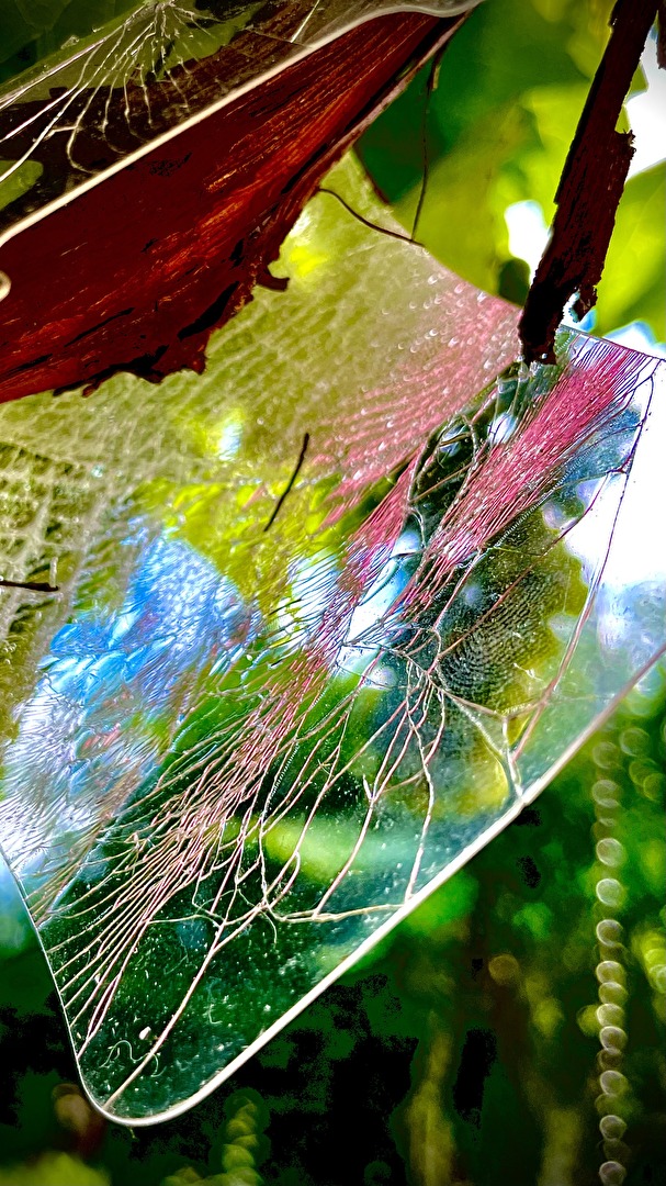 Versuch mit einem zerbrochenen Handy-Panzerglas