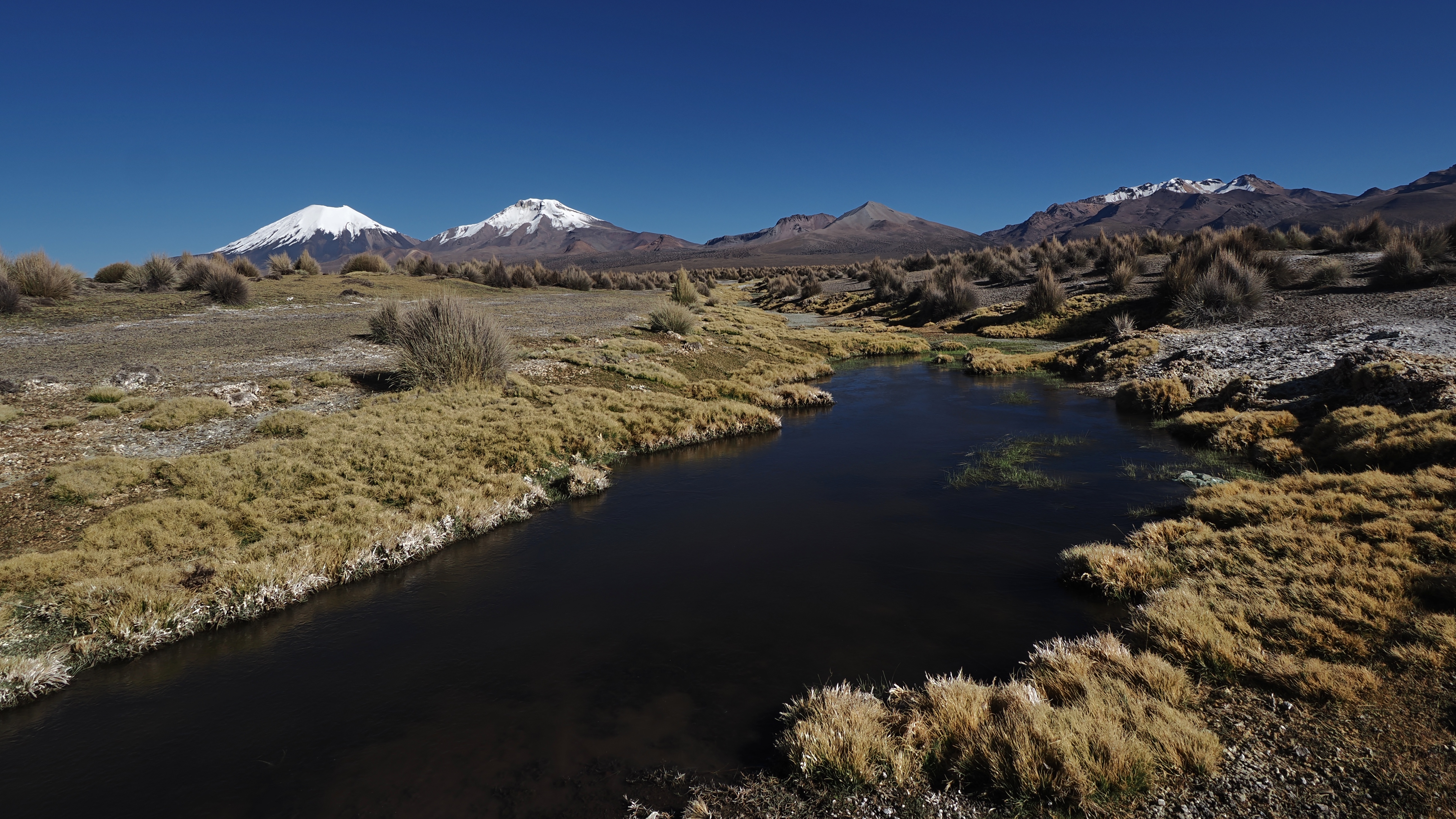 Altiplano
