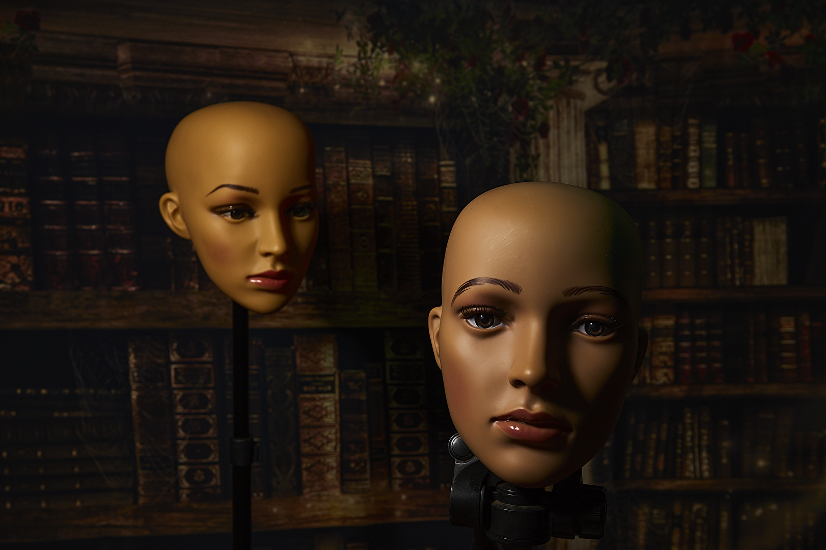 2 Rembrandt Schatten, kelvin ...