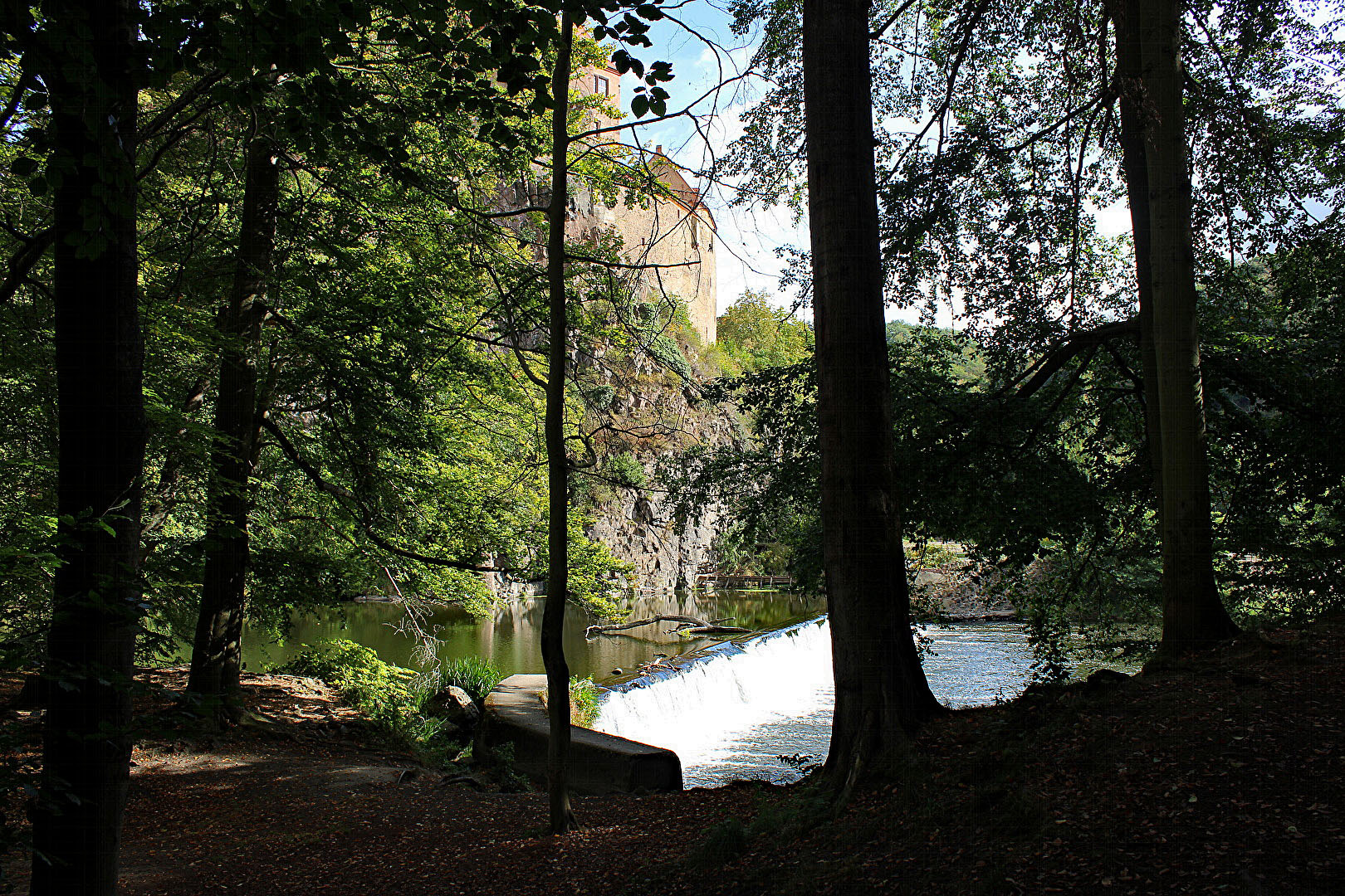 #Wald