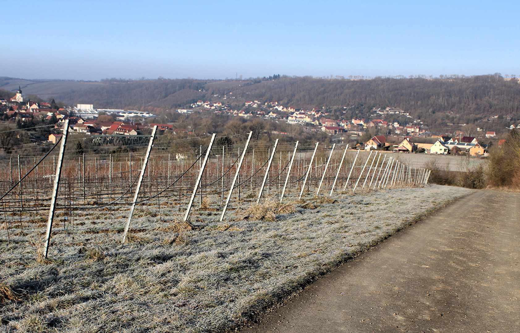 Eine kleine Wanderung durch die Weinberge