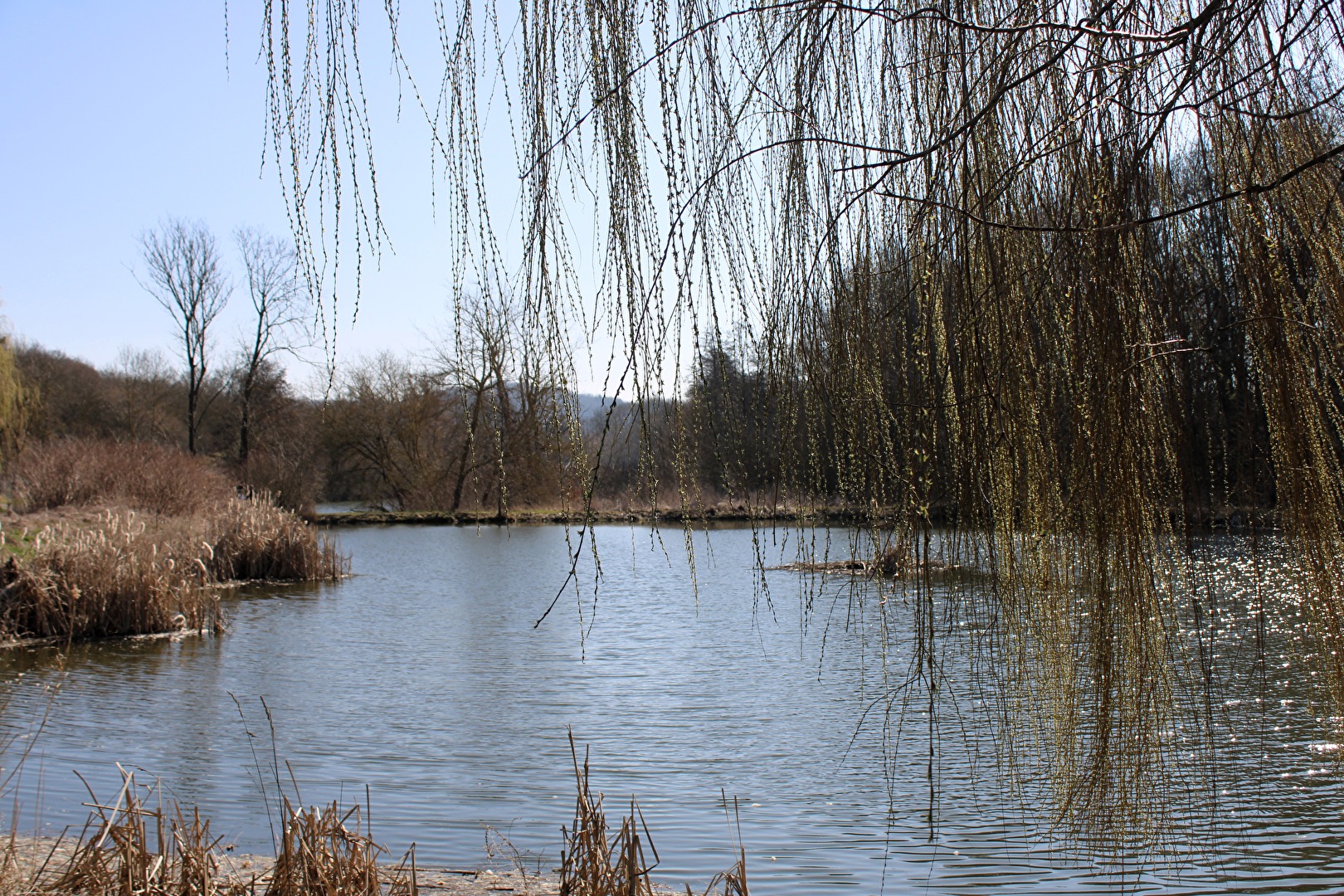 Silberne Wellen