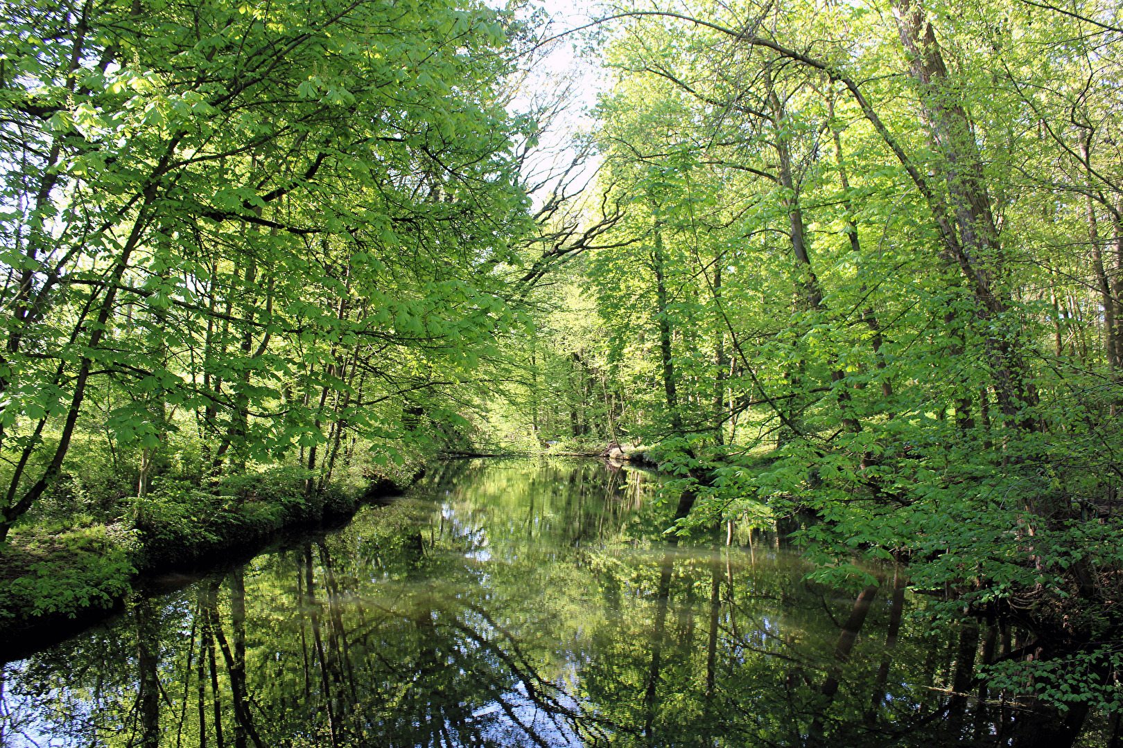 Die Ilm bei Niederrossla