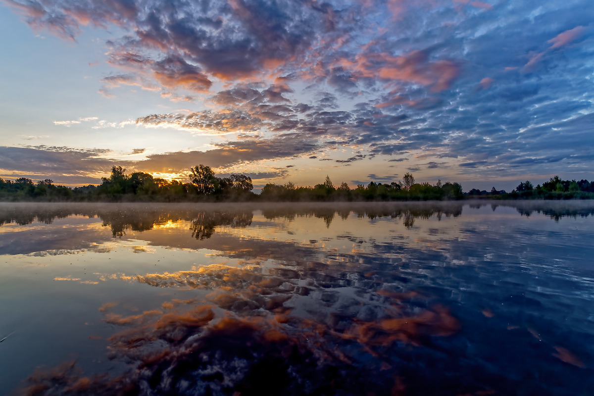 Morgens an der Havel