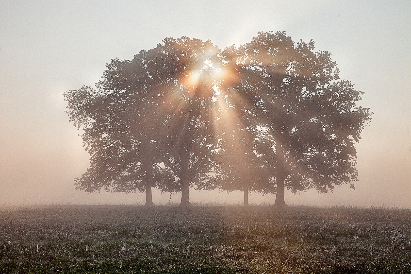 Morgens im Havelland