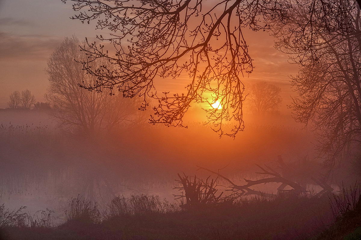 Morgens in "meinem Revier" II
