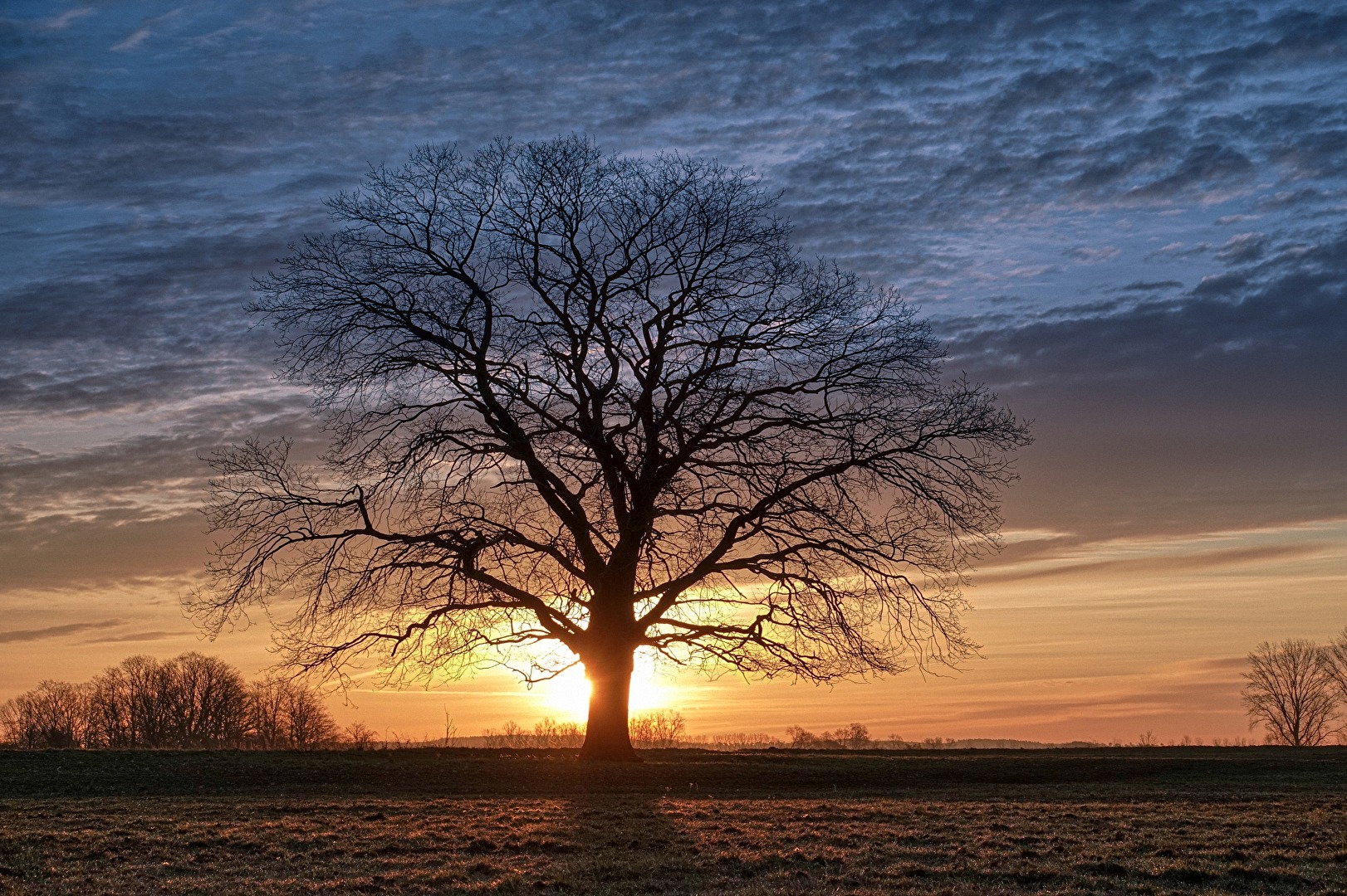 Morgens im Havelland II