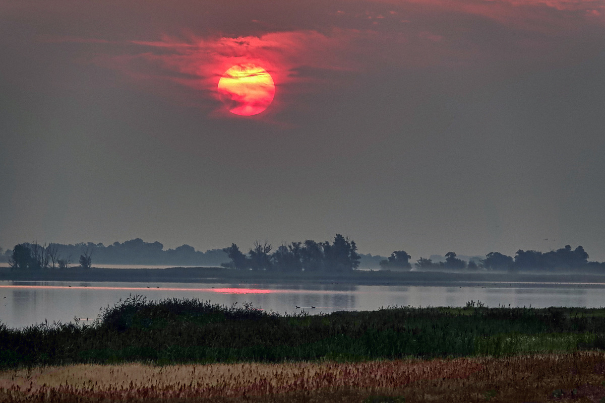 Morgens am Gülper See