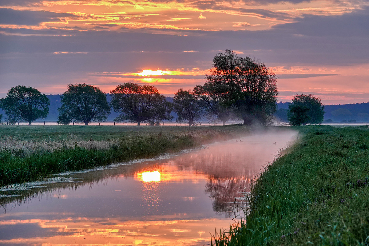 Morgens in "meinem Revier" III