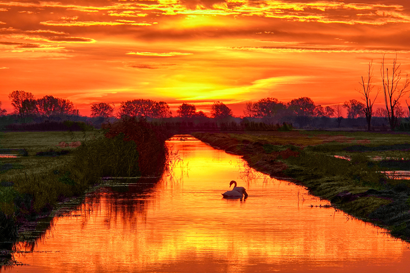 Morgens im Havelland IV