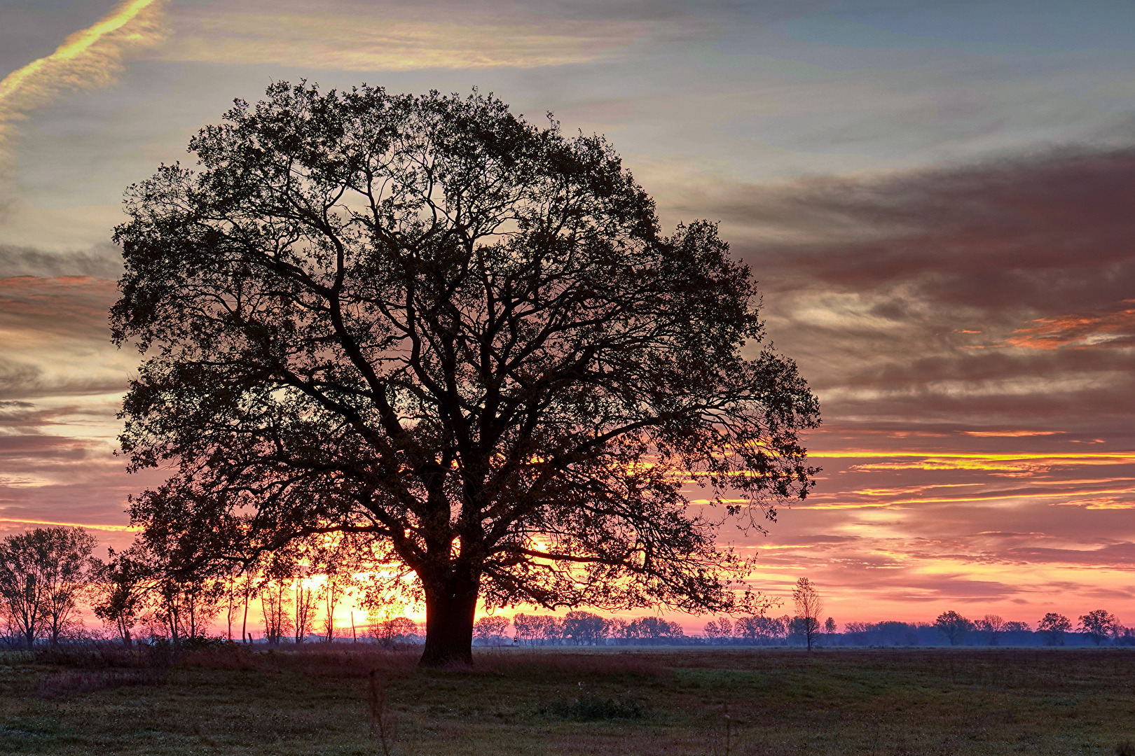 Sonnenaufgang im Havelland VI