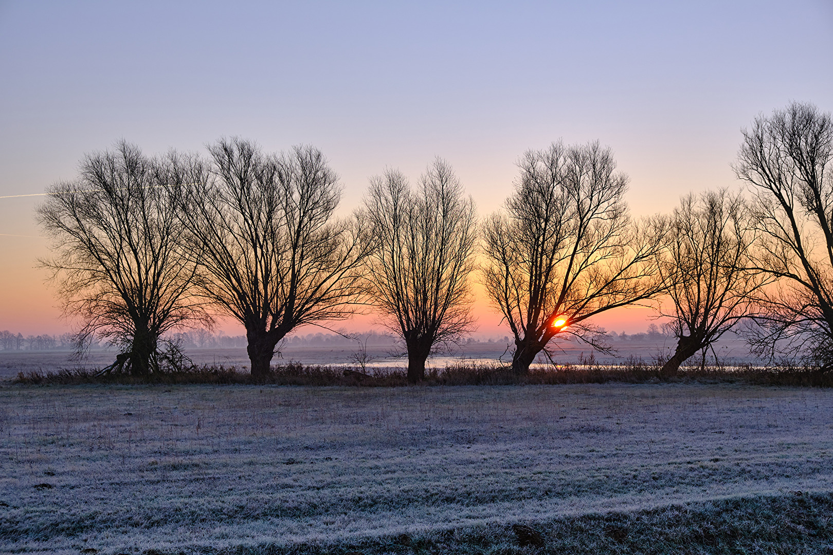 Sonnenaufgang im NSG III