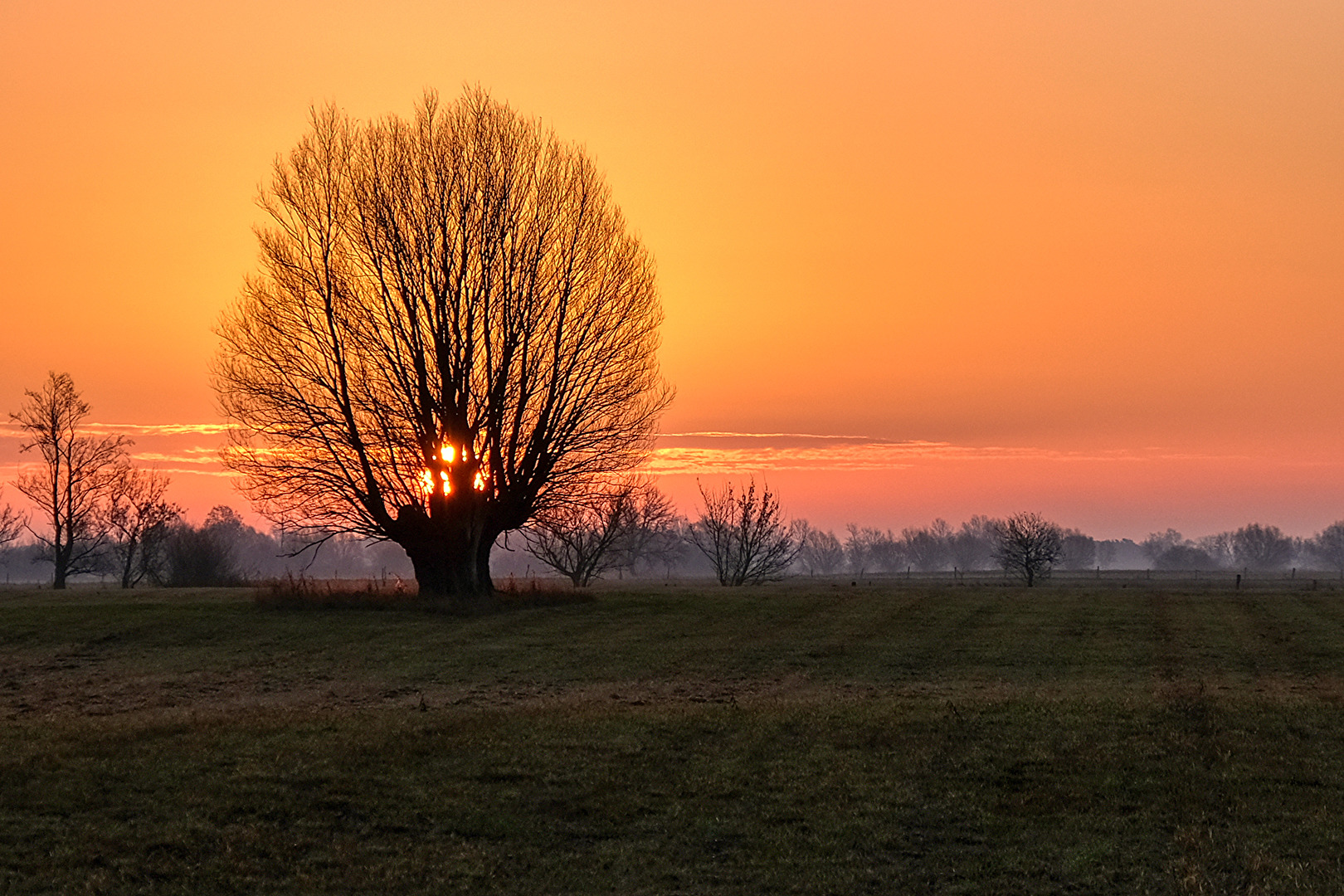 Auf meinem heutigen Streifzug entdeckt