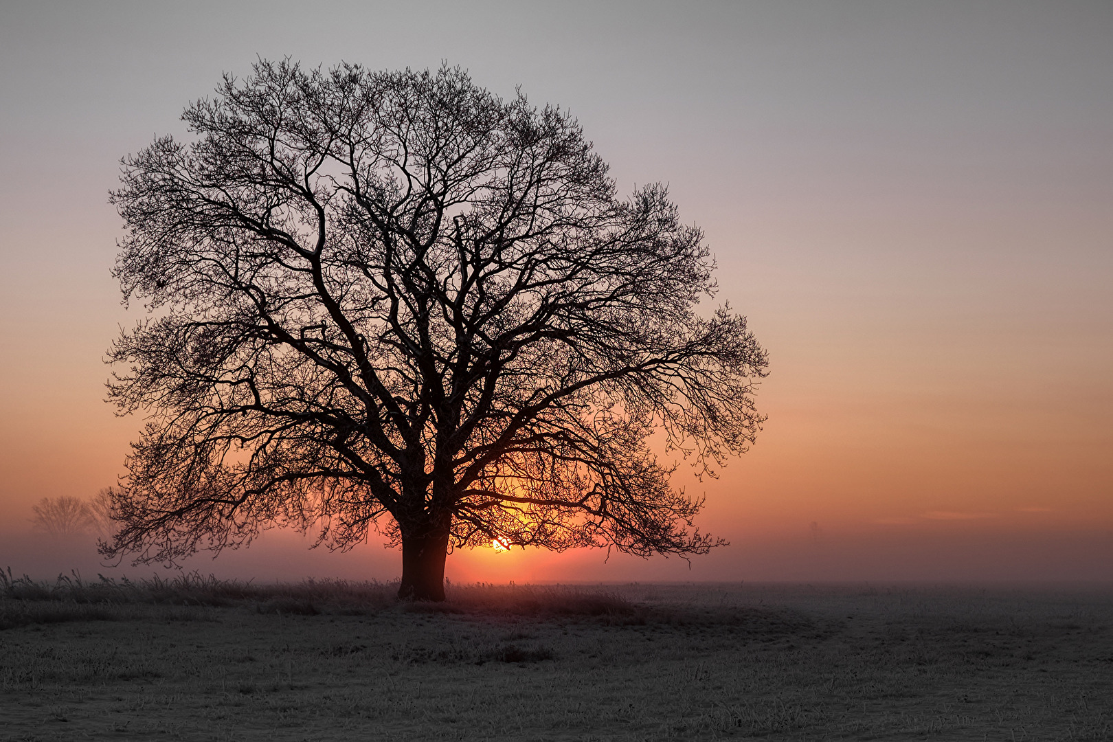 Sonnenaufgang bei -12 Grad C