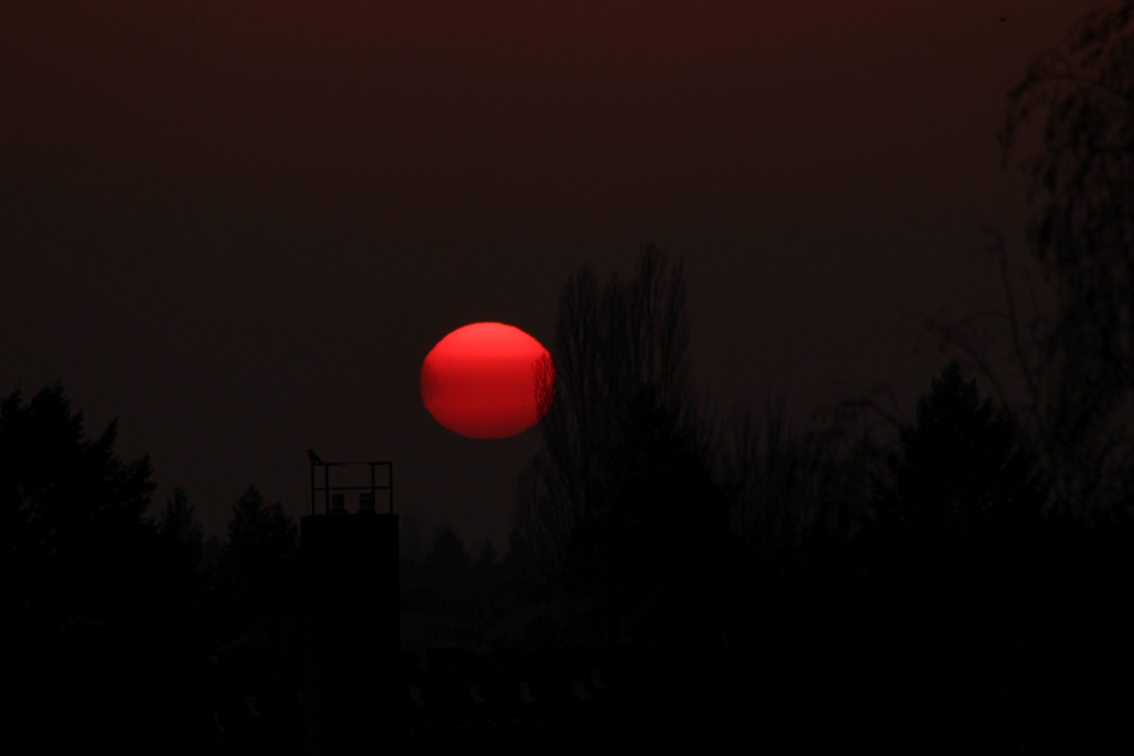 Sonnenuntergang über Berlin-Reinickendorf