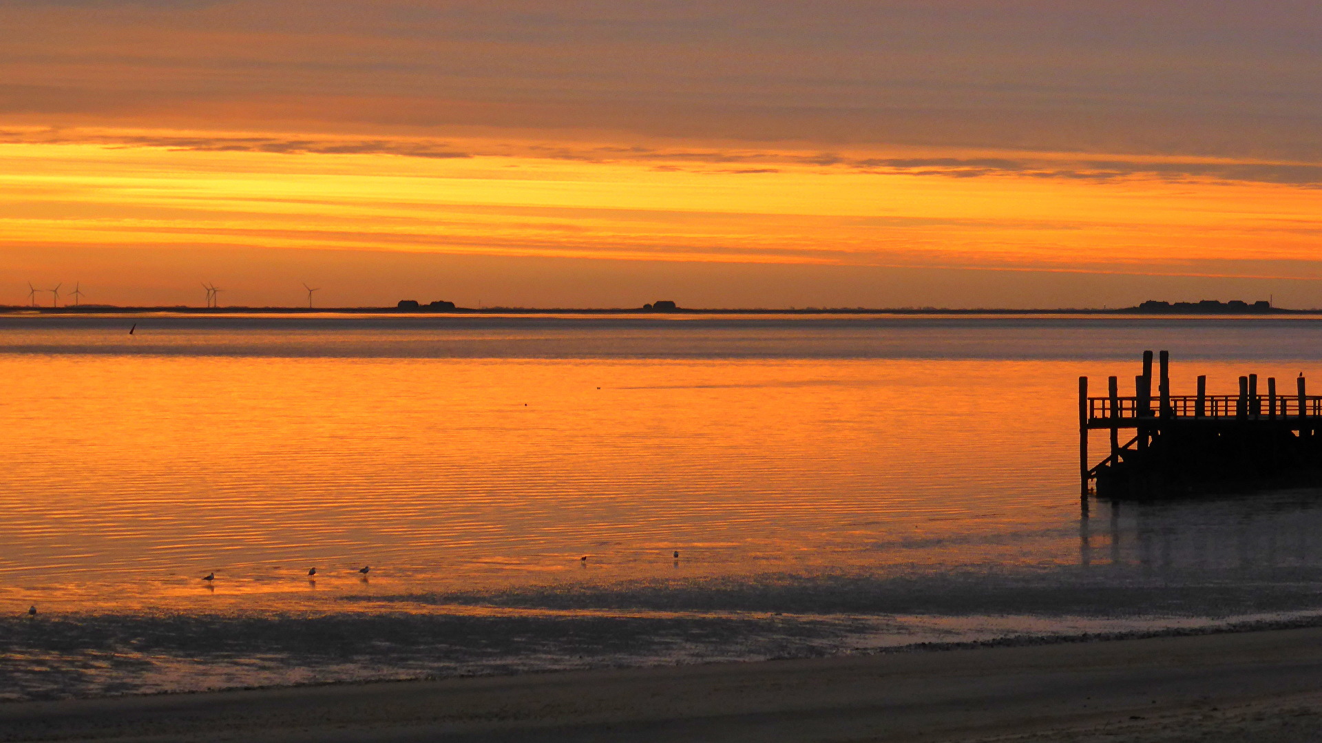 Morgenstimmung......