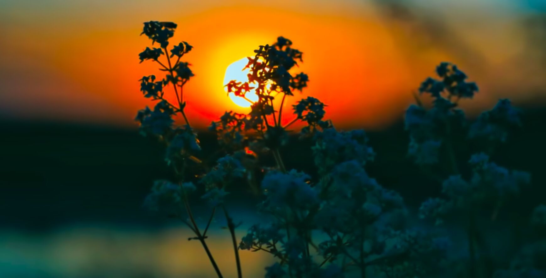 Abendstimmung in Vietnam