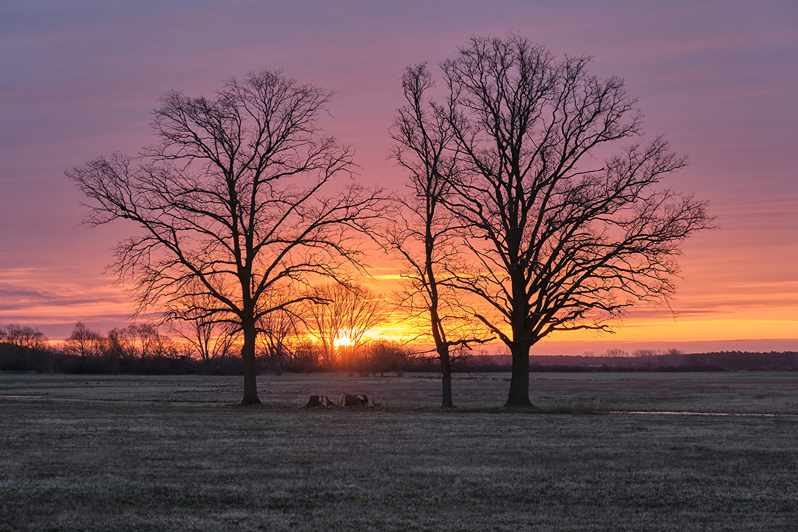 Sonnenaufgang im Havelland