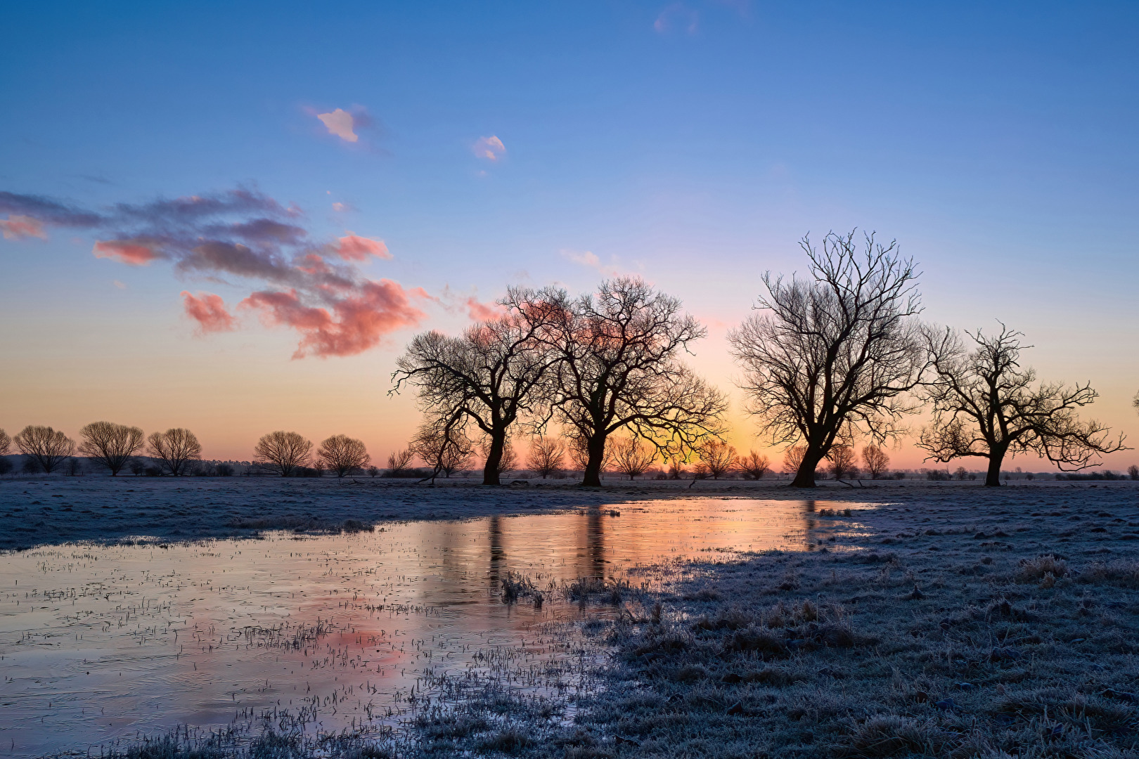 Morgens im Havelland