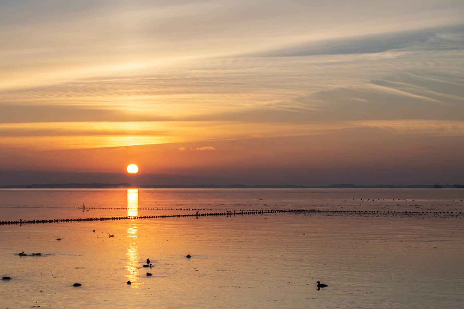 Sonnenaufgang 17.6 , Amrum