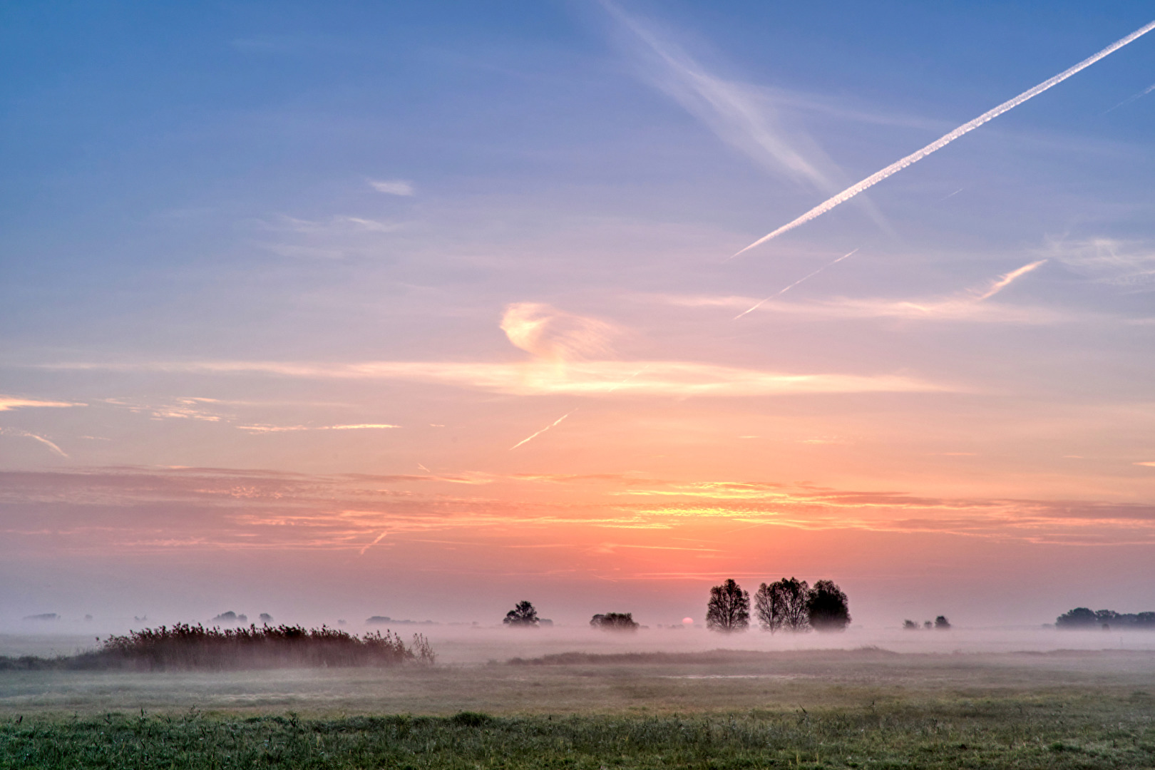 Morgens im Havelland IV