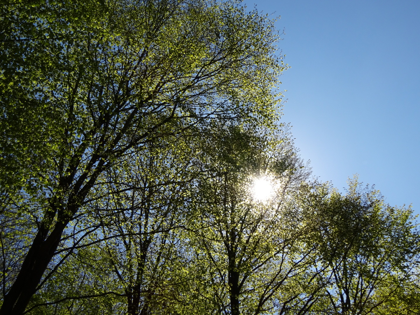 Schleswig Holstein 2019