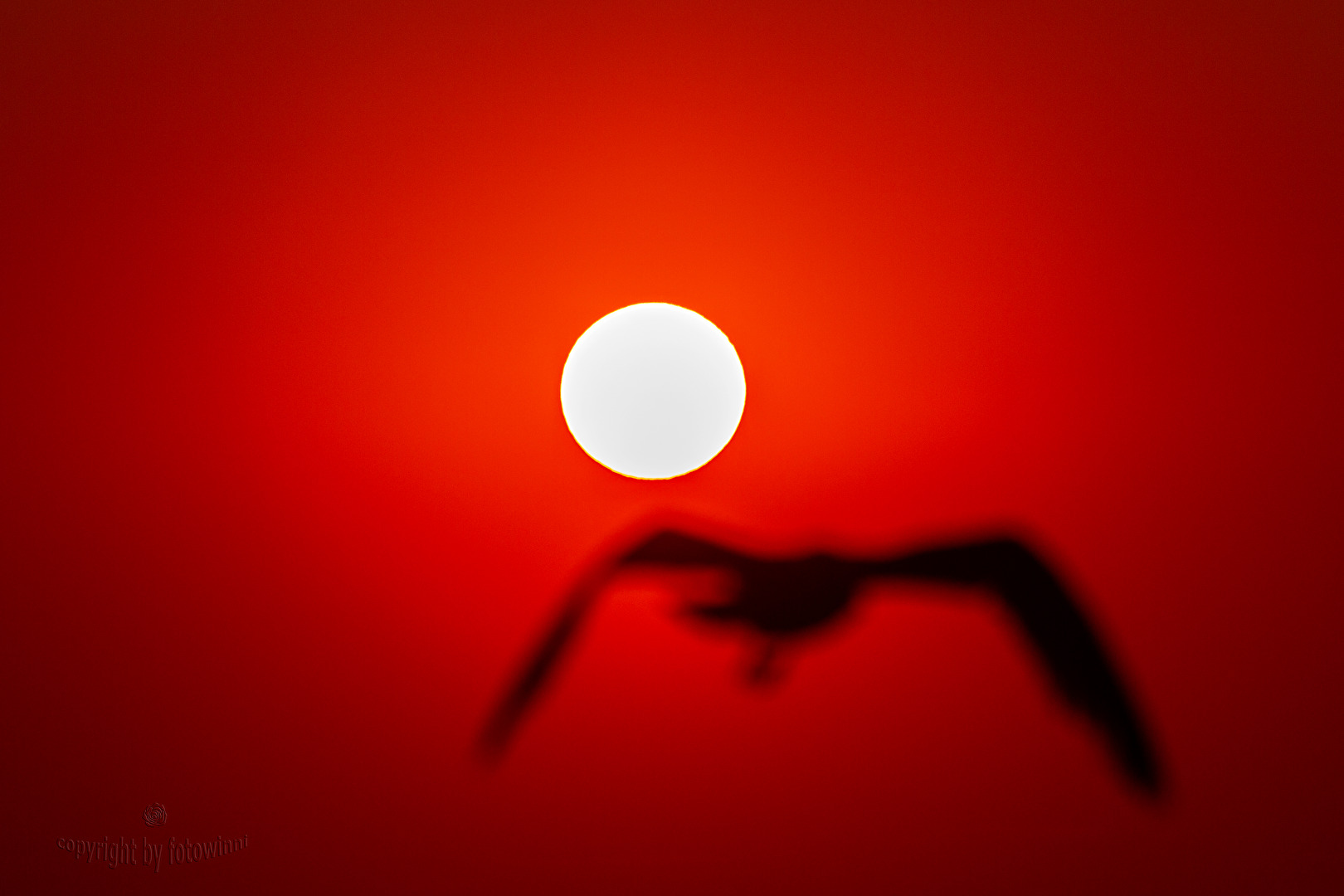 Sonnenuntergang auf Wangerooge