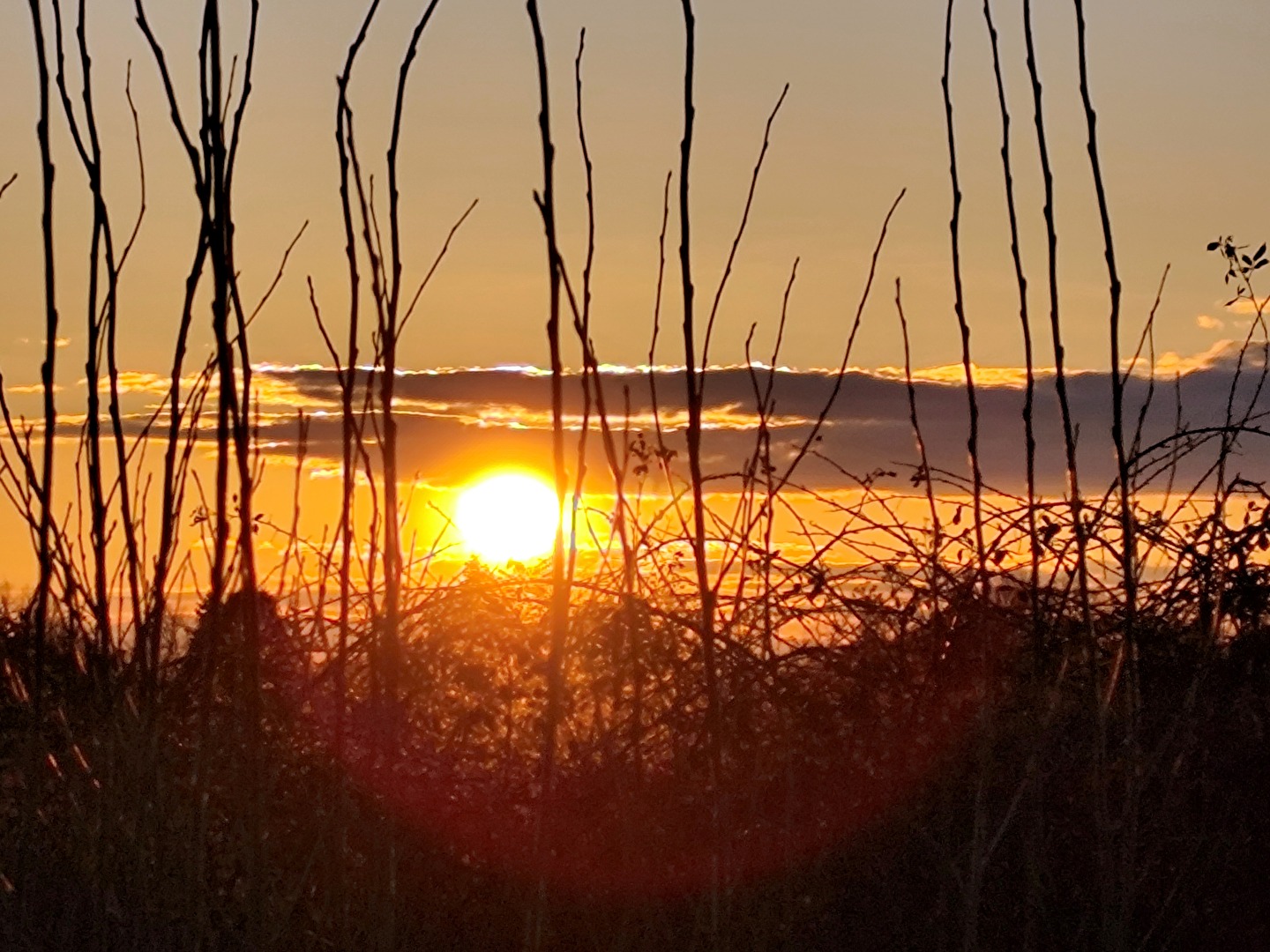 heute Abend