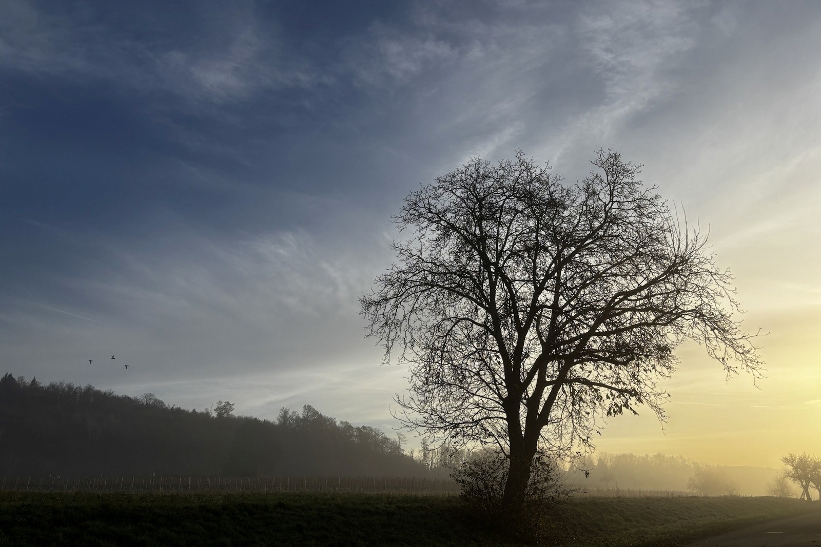 Der Nebel lichtet sich, die Sonne kommt