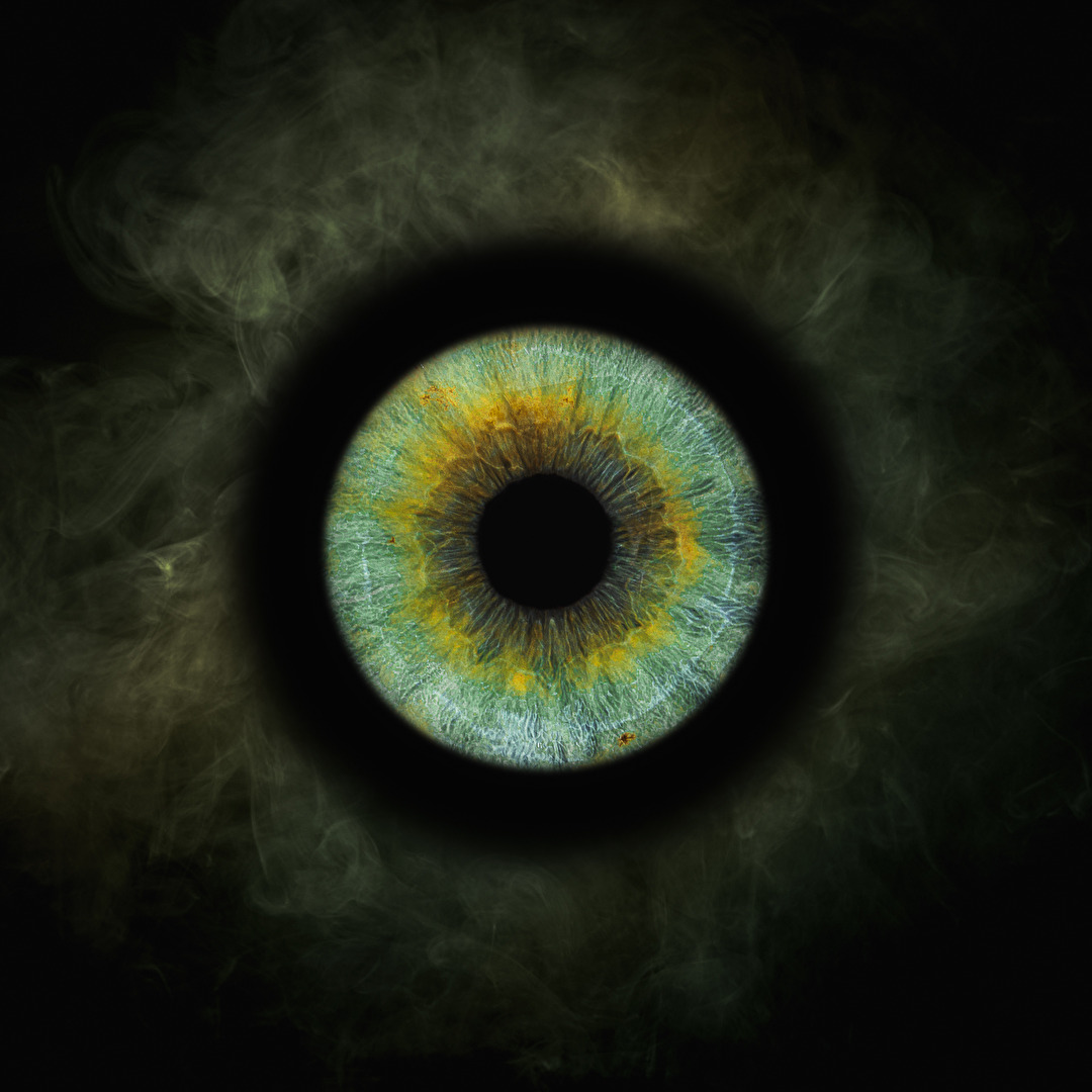 Noch ein bisschen Iris-Fotografie