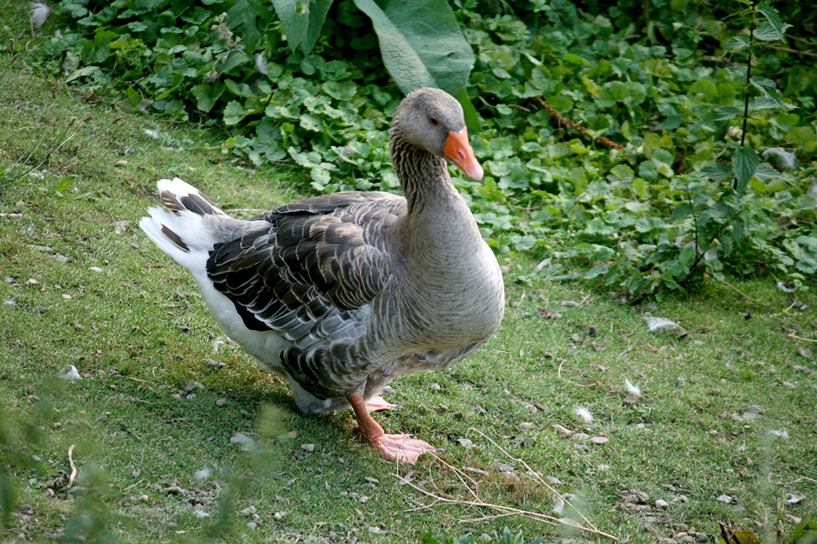 Monheim am Rhein