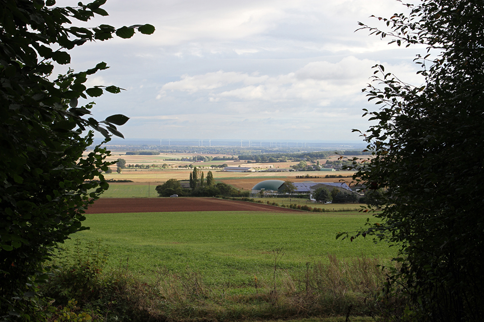 Mechernich-Kommern