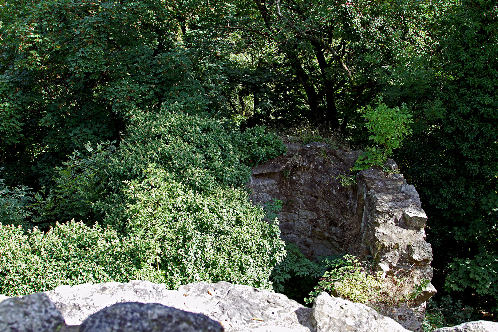 Königswinter