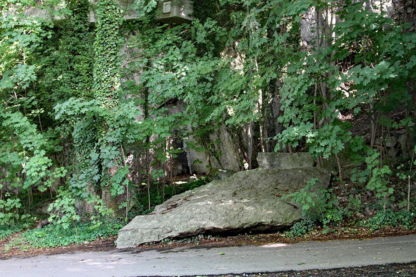 Königswinter