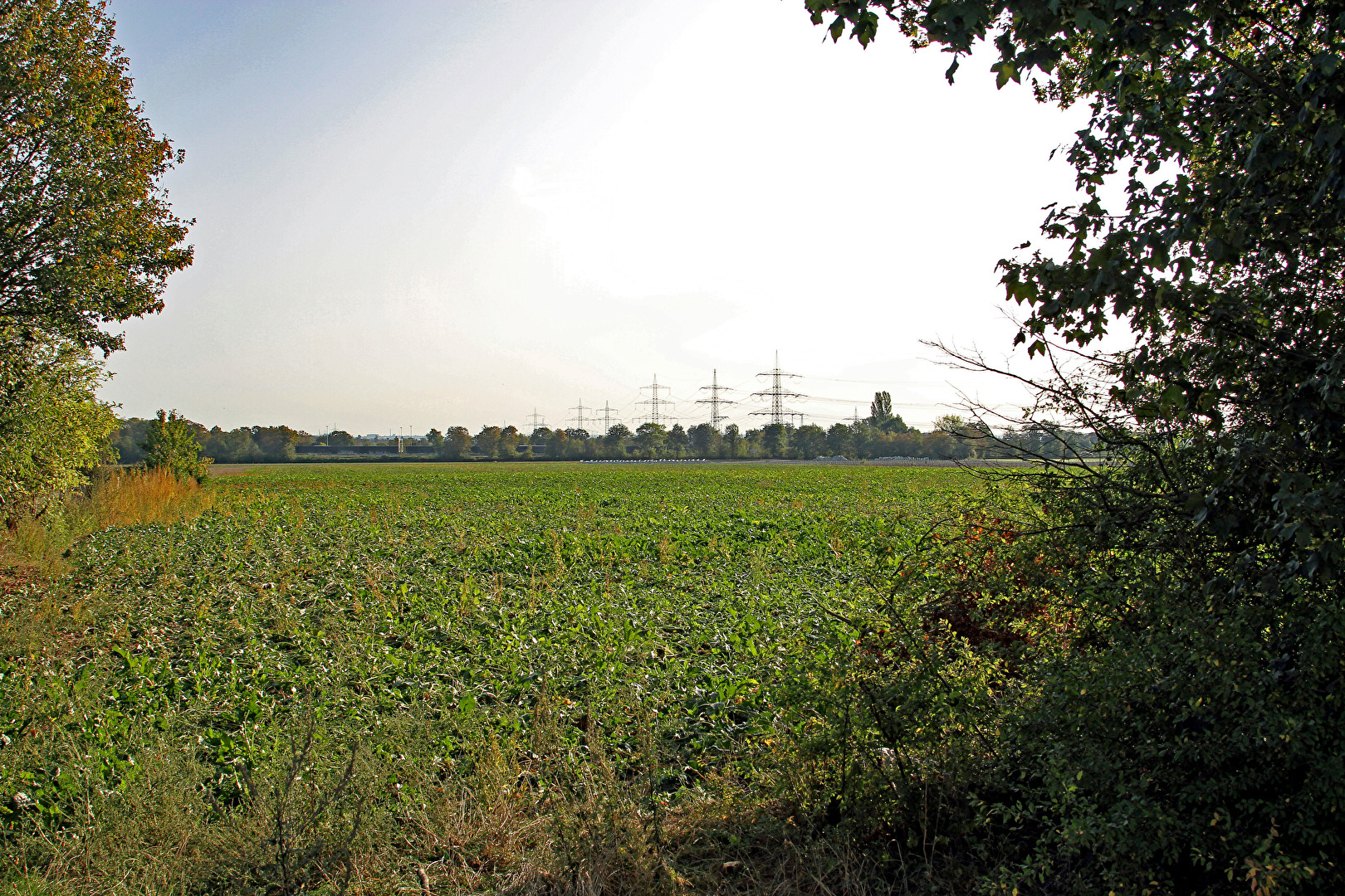 Monheim am Rhein