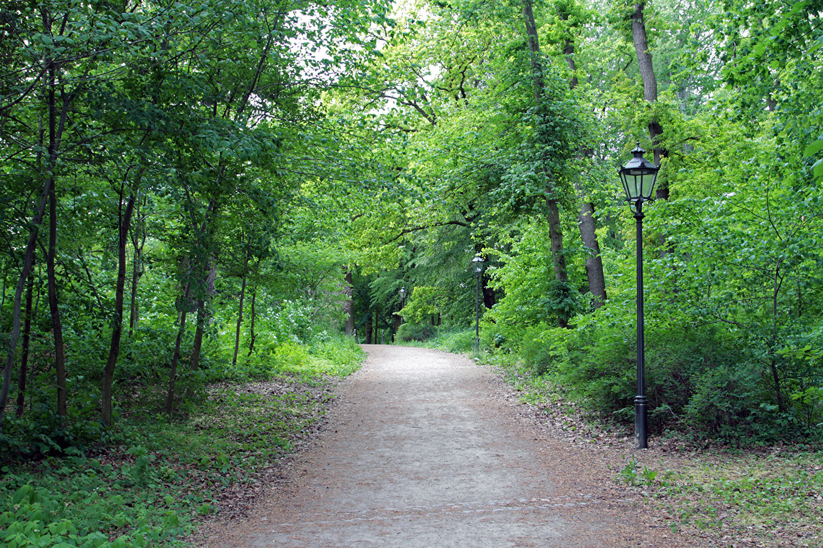 Potsdam
