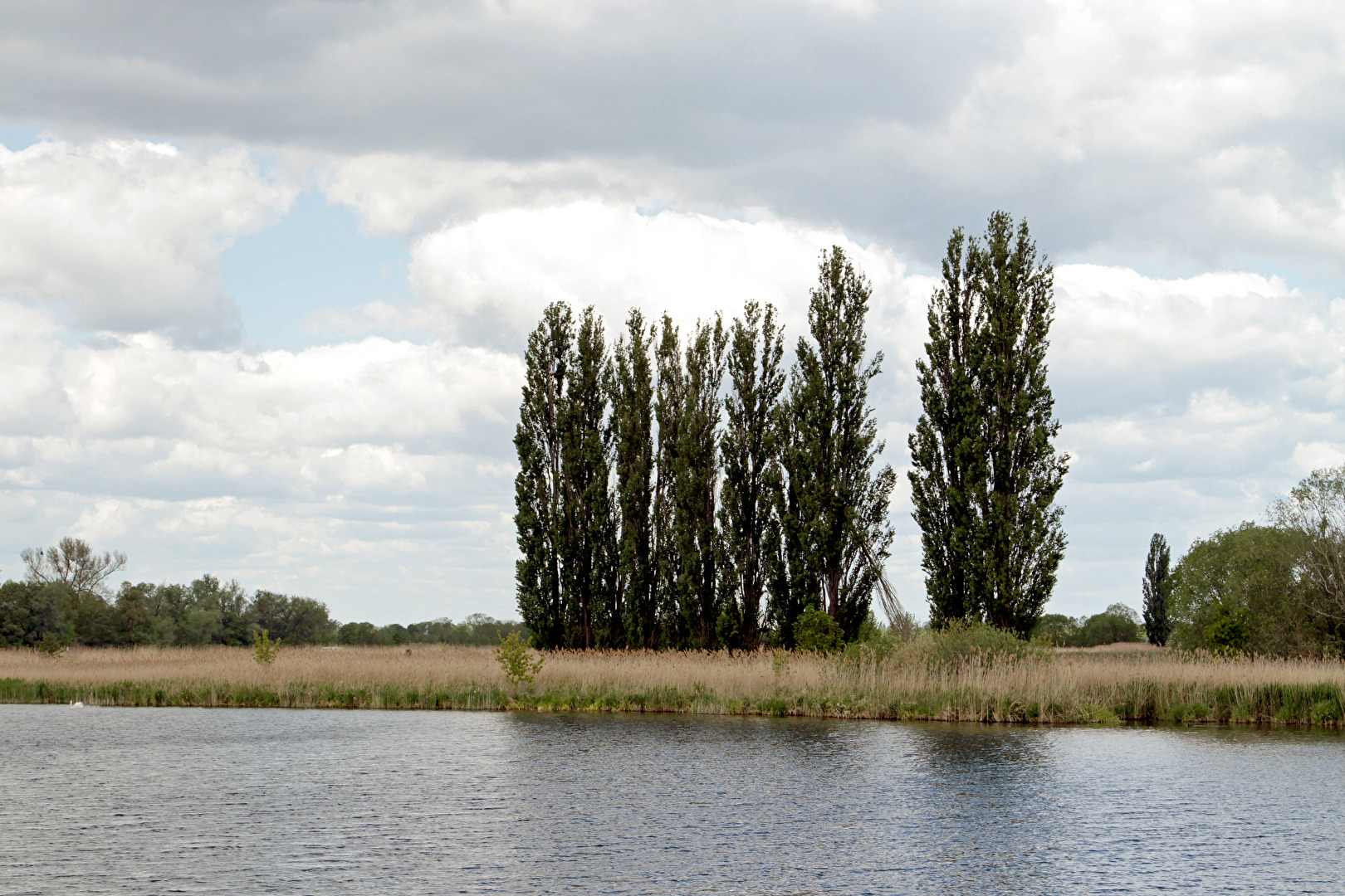 Potsdam