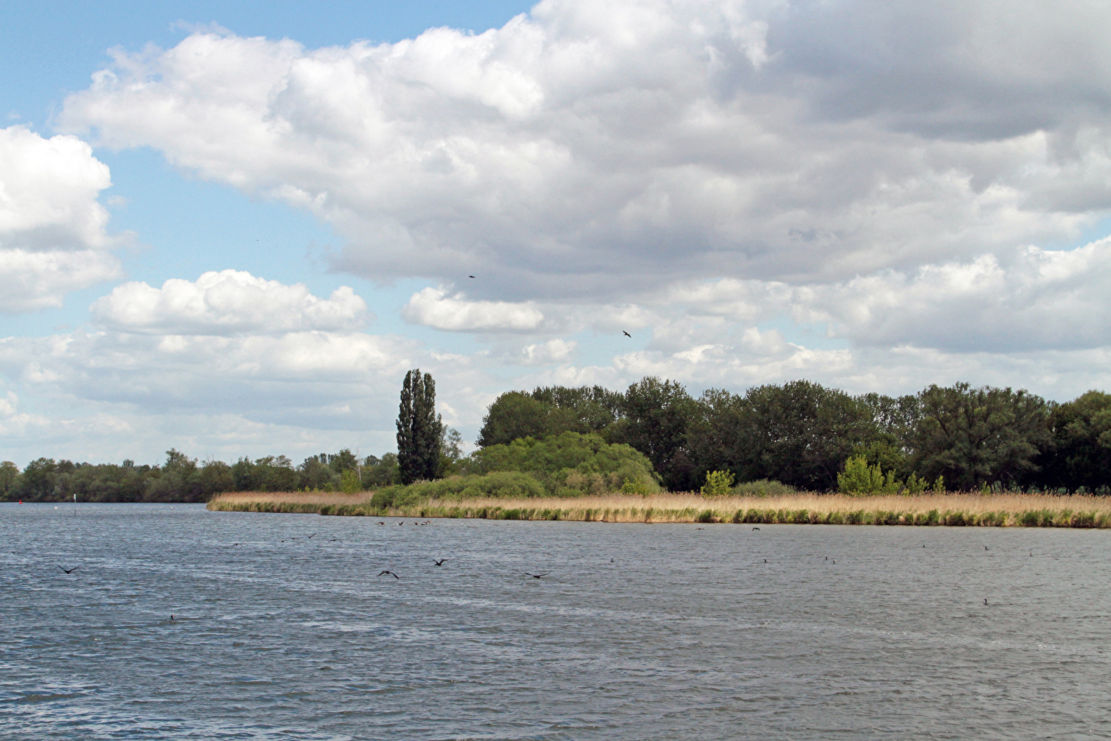 Potsdam