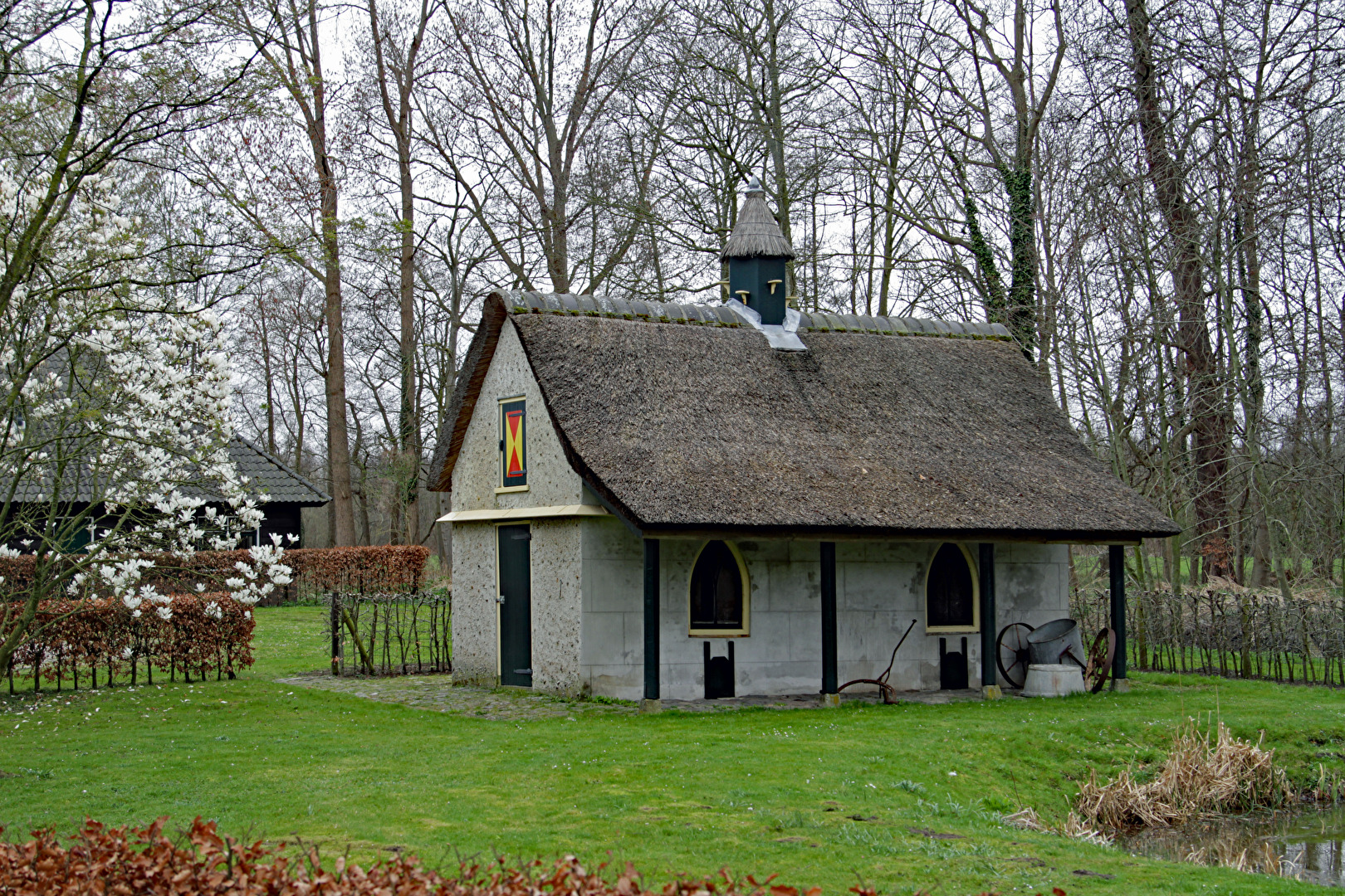 Lisse
