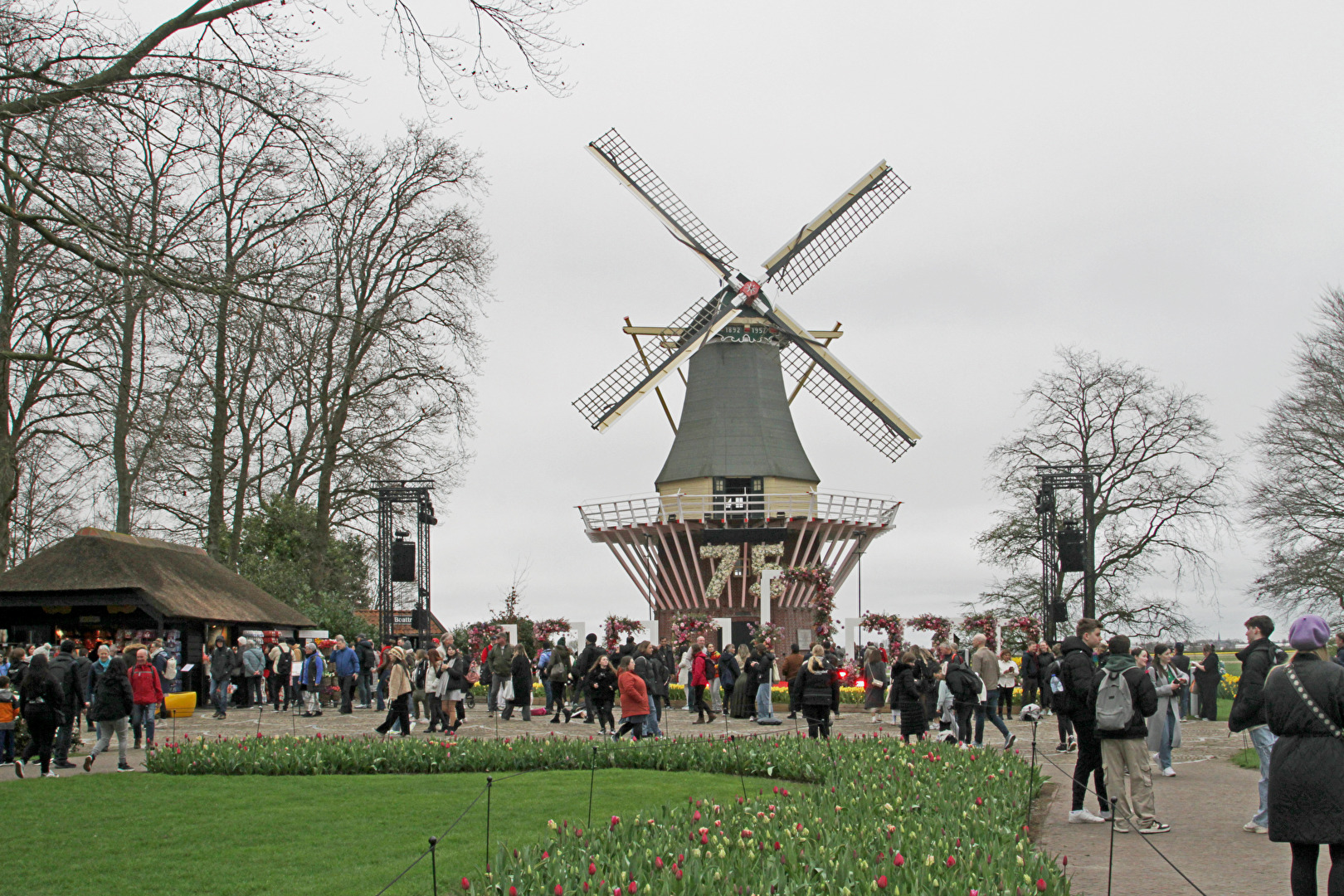 Lisse