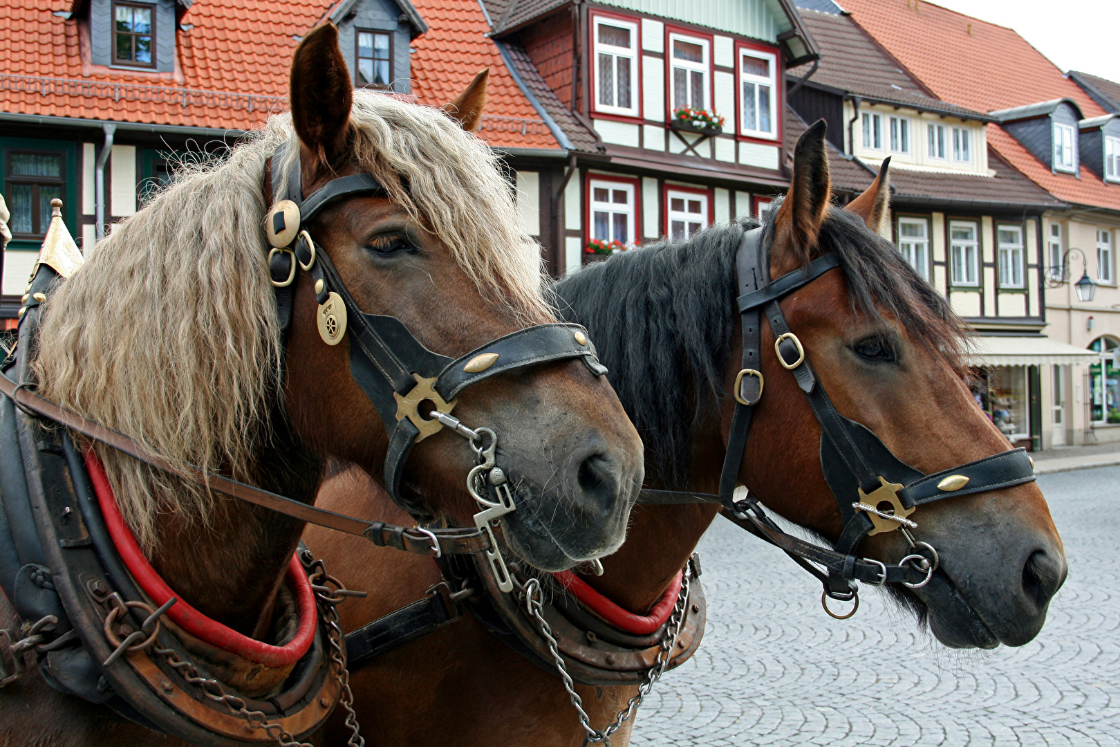 Wernigerode
