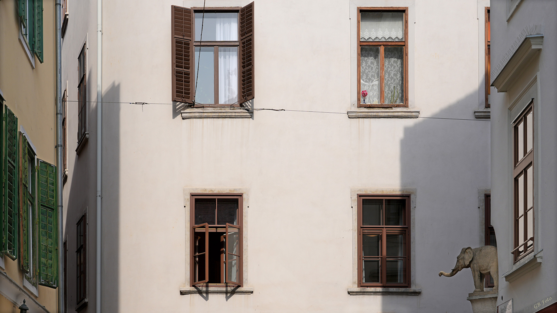 Der kleine Elefant in der Neuen Welt Gasse