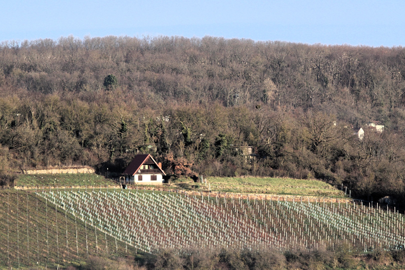 Haus am Weinberg