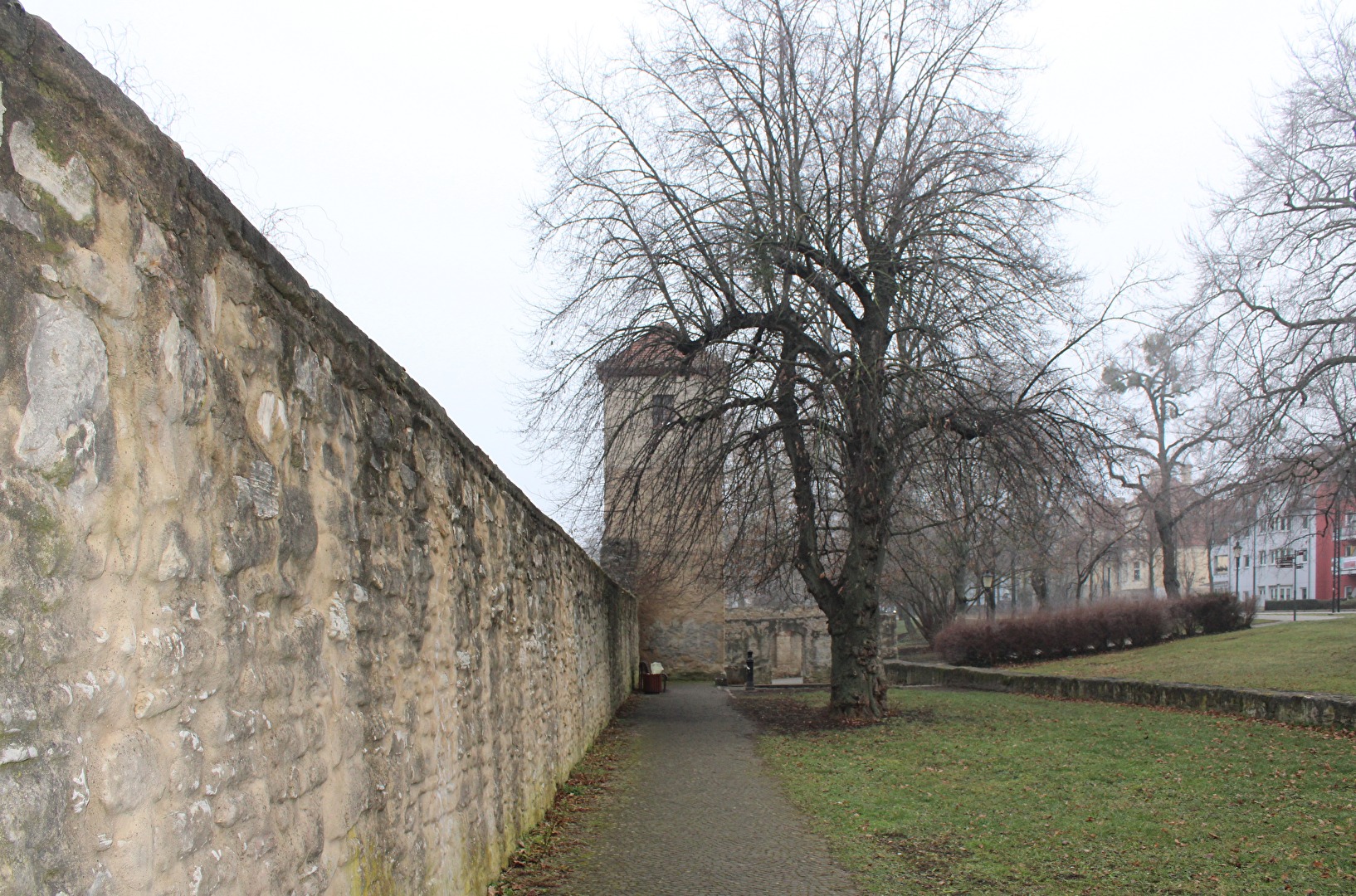 Naumburg