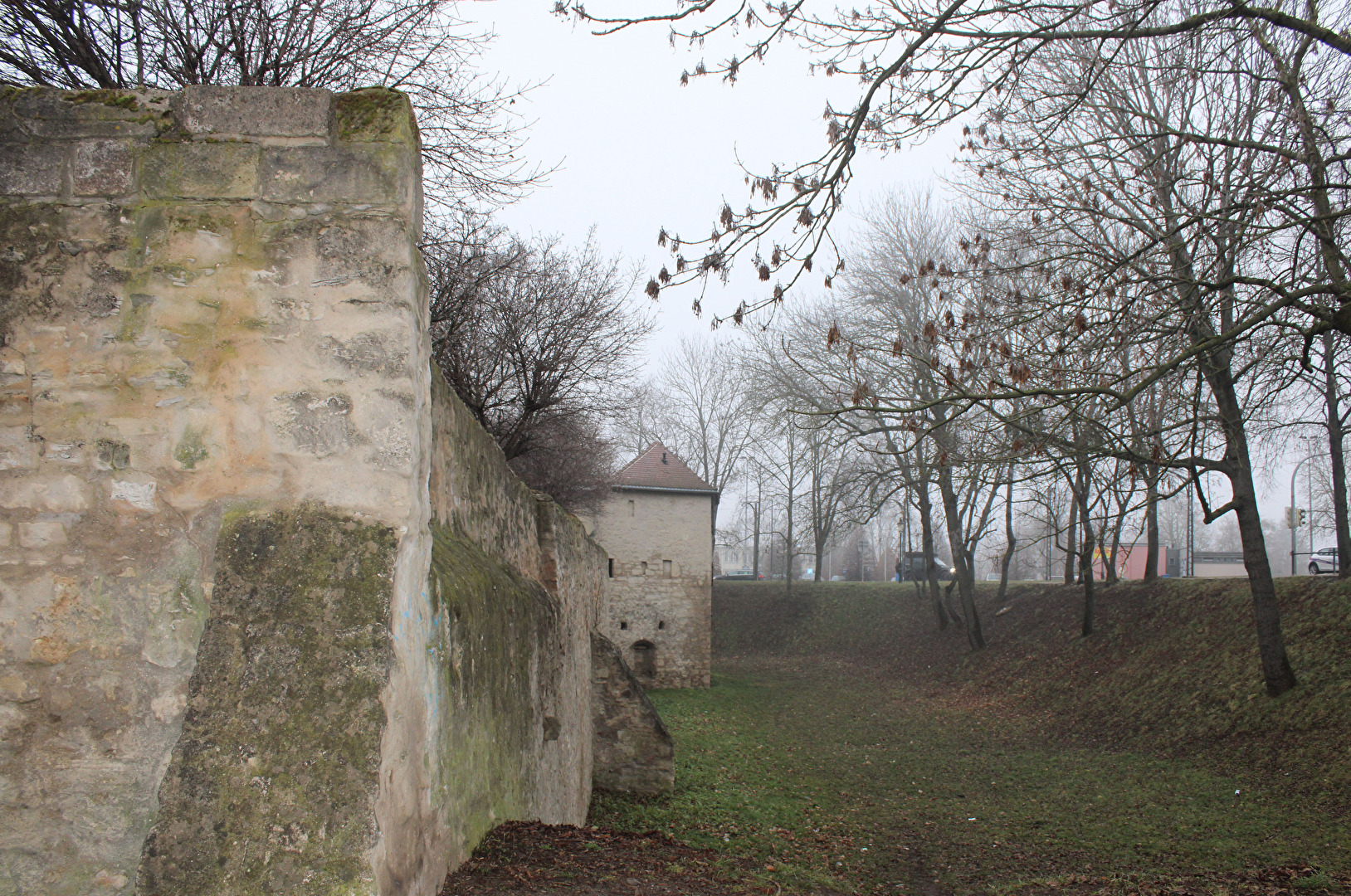 Naumburg