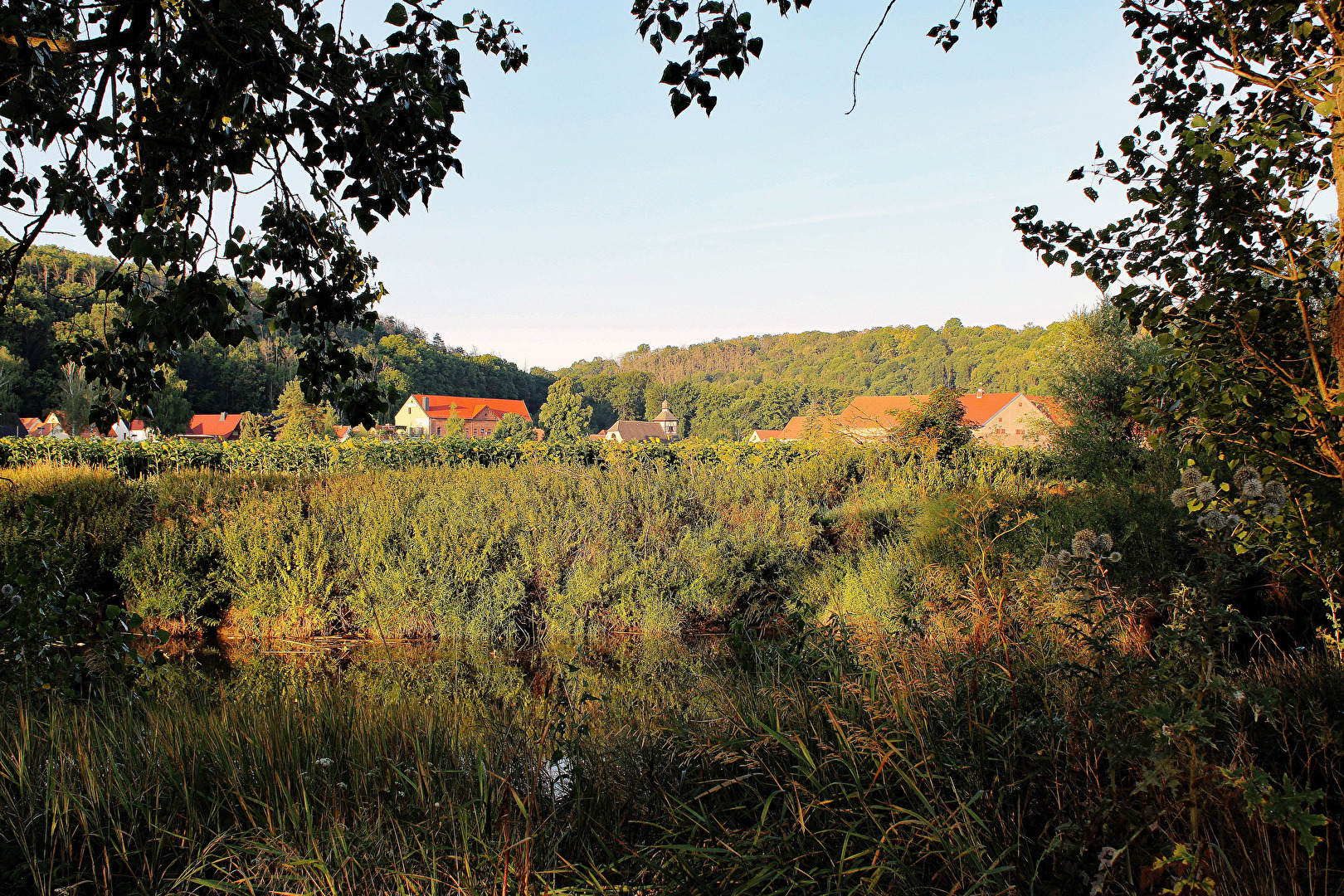 Am Ufer der Unstrut bei Burgscheidungen